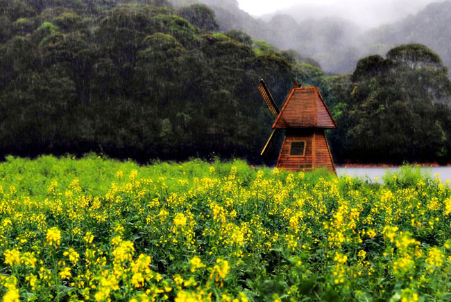 佛山中；峋傩写踊湃讼裆阌安煞缭硕