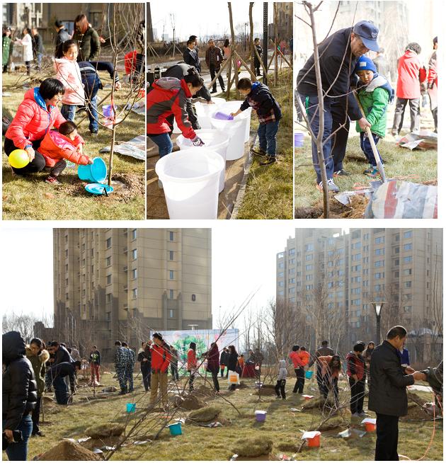 贺呼市银娱优越会·凯旋门“我与小树共生长”树木认养运动圆满乐成